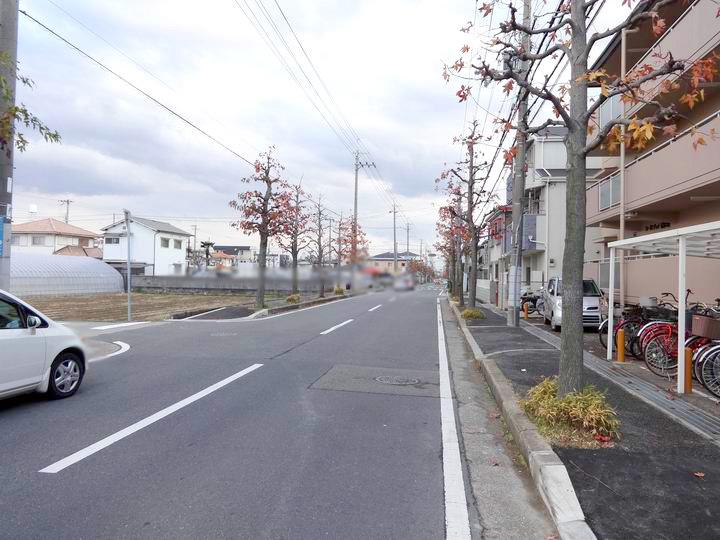 Local photos, including front road