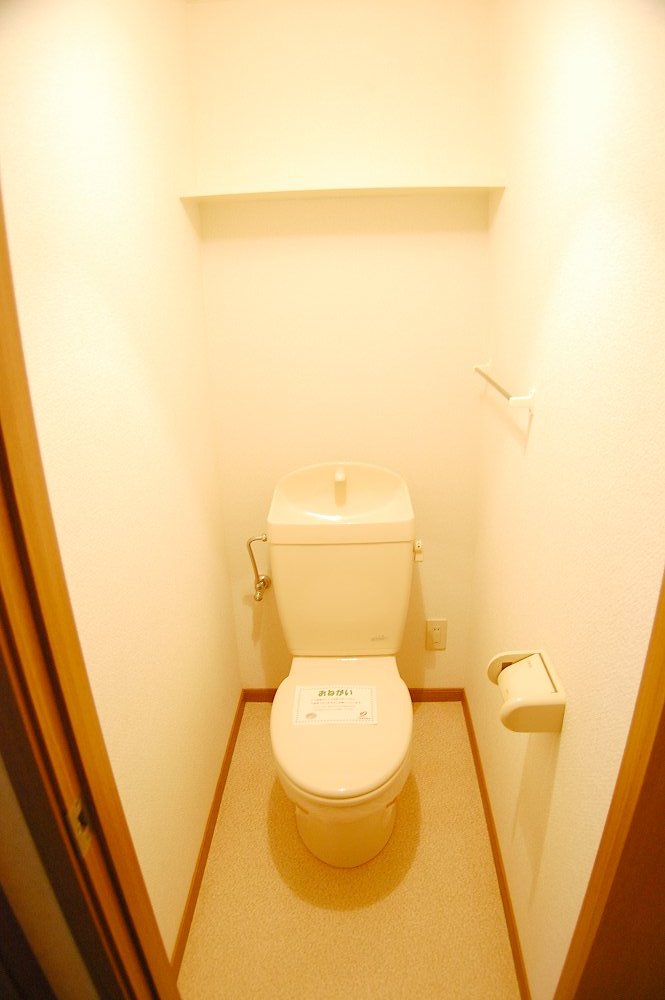Toilet. Beautiful toilet.