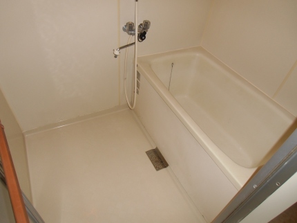 Bath. Bathroom