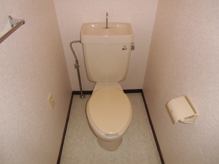 Toilet. Toilet