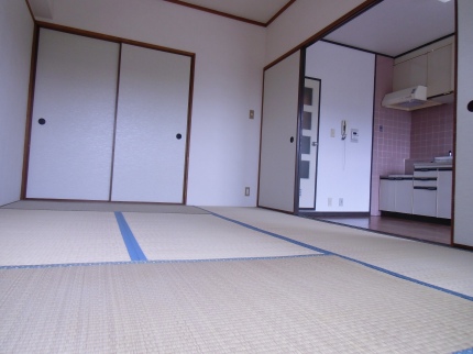 Other room space. Japanese style room