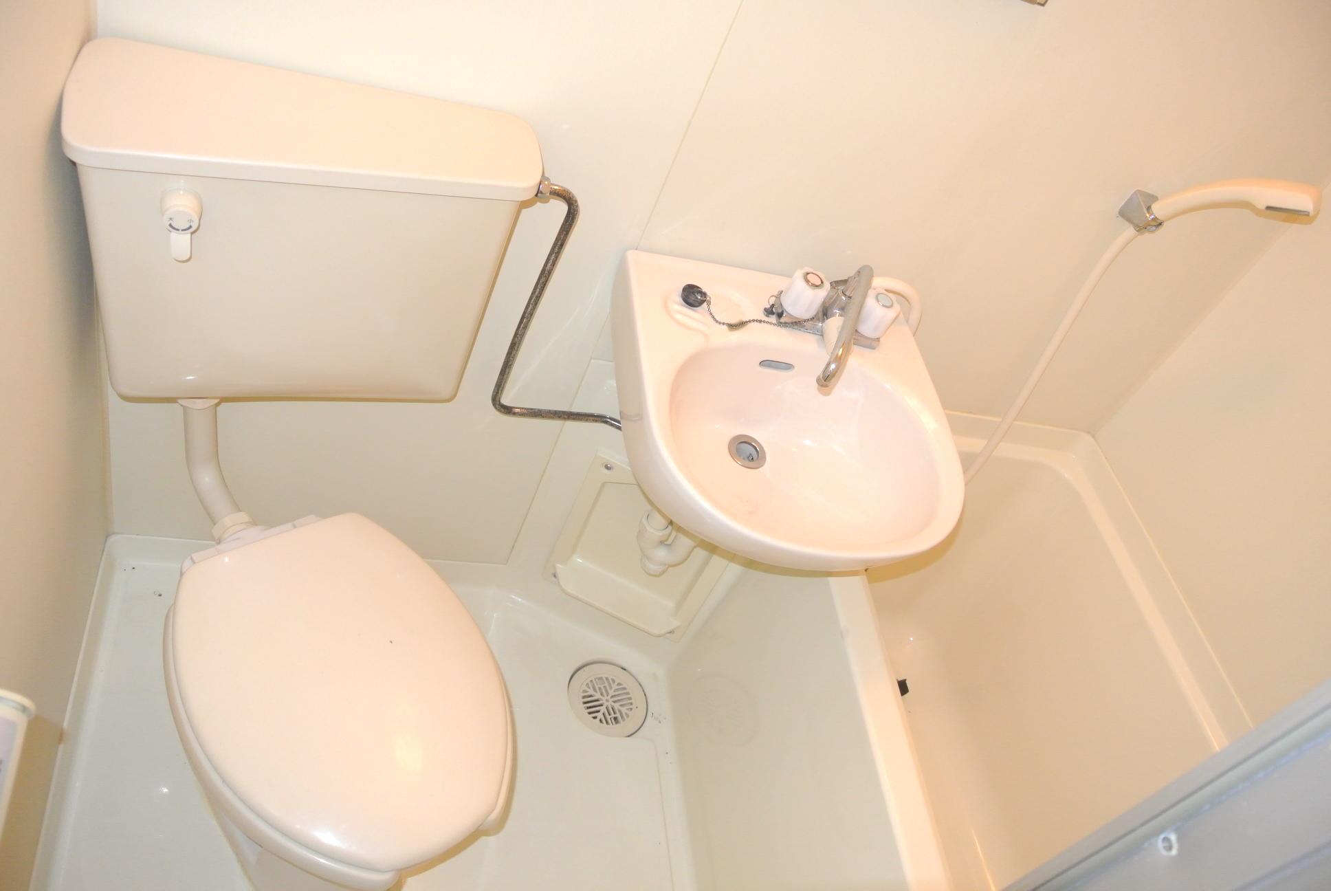 Toilet. Cleaning of easy UB