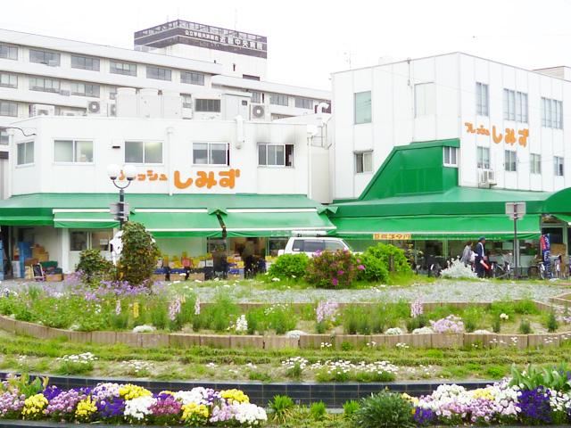 Supermarket. Until fresh Shimizu 320m