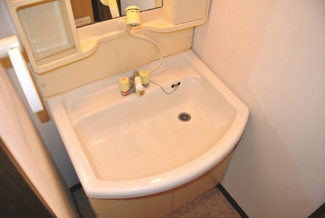 Washroom. Shampoo is a dresser equipped.