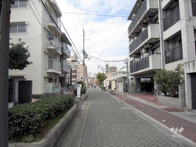 Local photos, including front road. Property of the north front of the road (from the east)