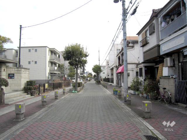 Local photos, including front road. Property of the north front of the road (from the west)