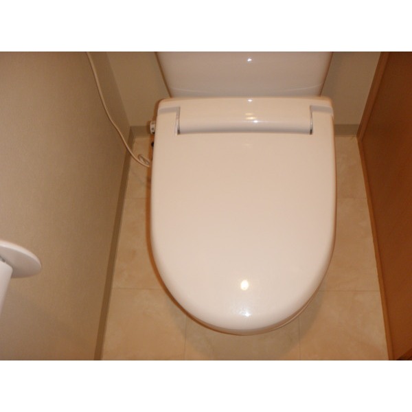 Toilet. Spacious interior