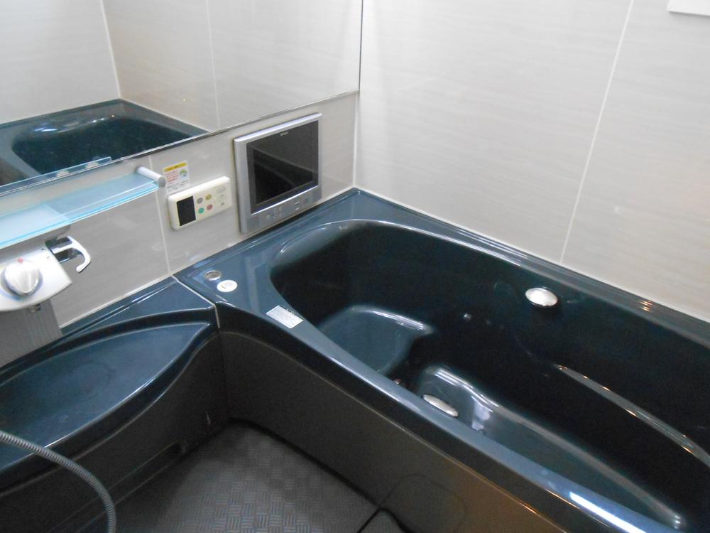 Bathroom. Room (May 2013) Shooting