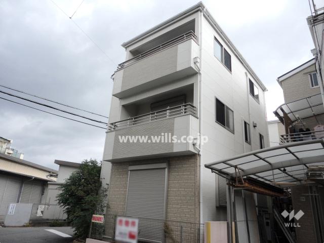 Local appearance photo. Property appearance (from the west)