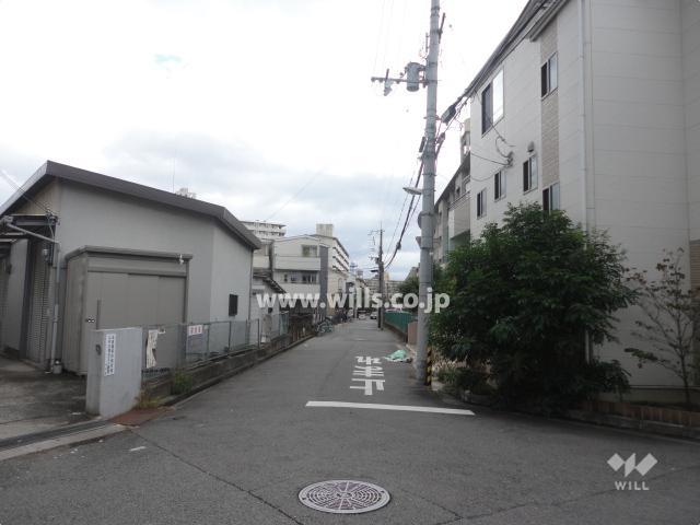 Local photos, including front road. Property of the northeast side of the front road (from the northwest side)
