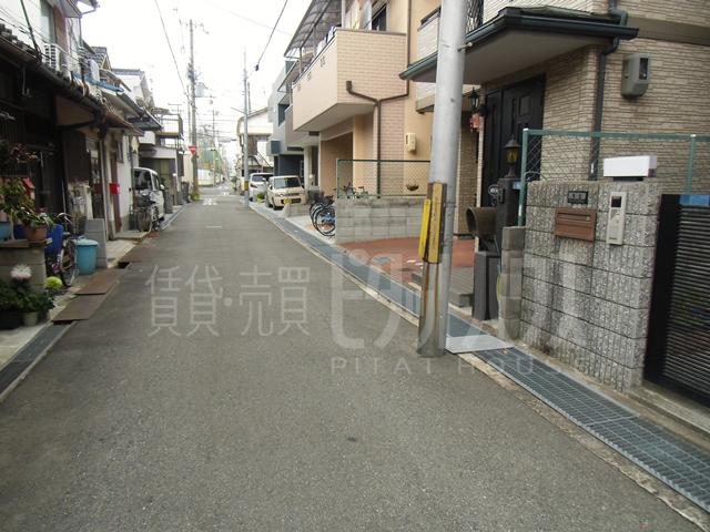 Local photos, including front road