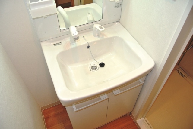 Washroom. Of course Shandore equipped.
