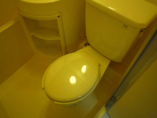 Toilet