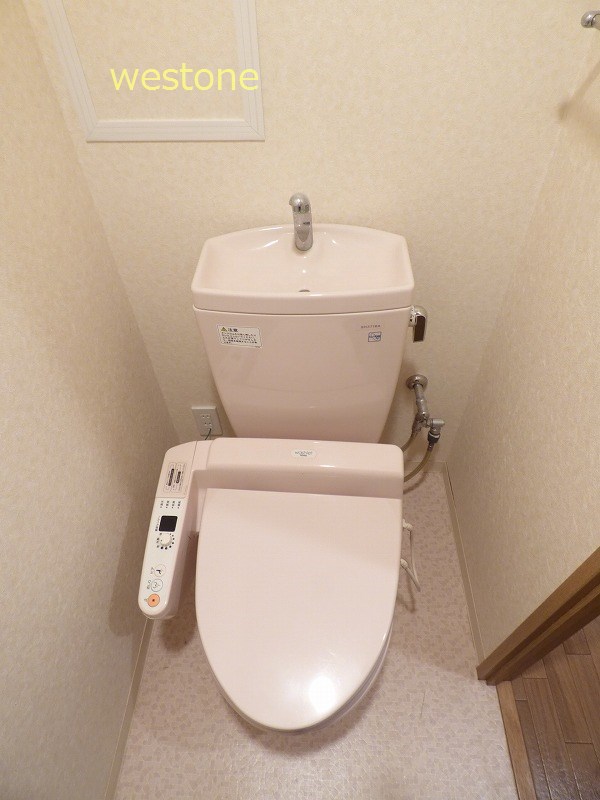 Toilet. Bidet with toilet