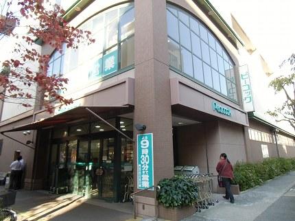 Supermarket. 572m until Daimarupikokku Mukonoso shop