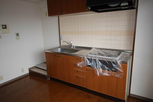 Kitchen. Also comes with the system is the kitchen three-necked stove
