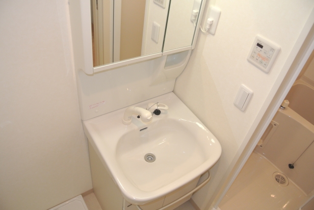 Washroom. Fashionable's strong ally
