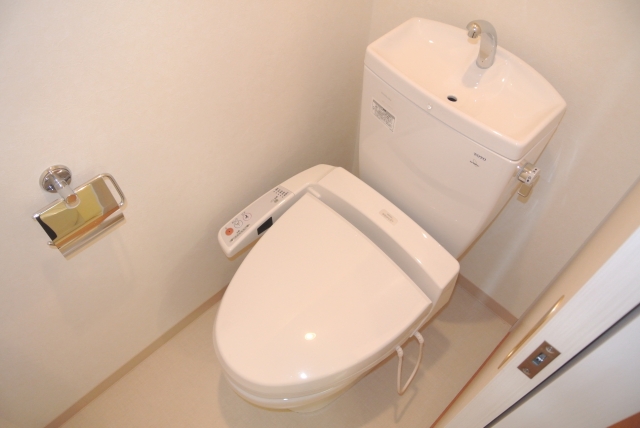 Toilet. Ass-friendly equipment