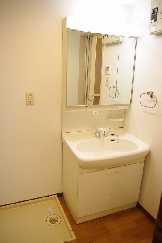 Washroom. 3-surface mirror type of vanity (with shower)