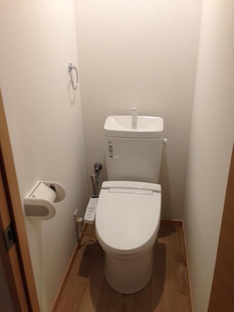 Toilet. Indoor (12 May 2013) Shooting