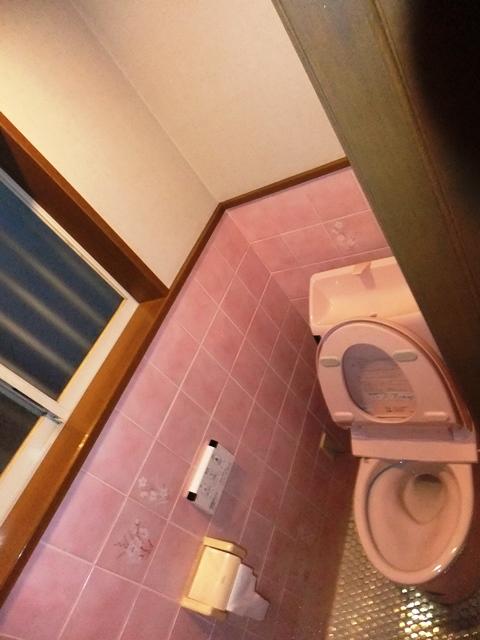 Toilet. Indoor (12 May 2013) Shooting