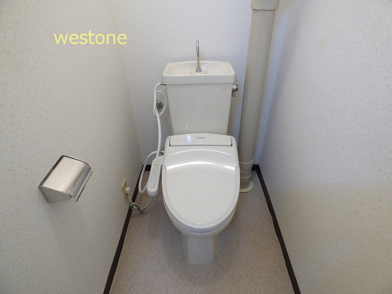 Toilet. Washlet toilet