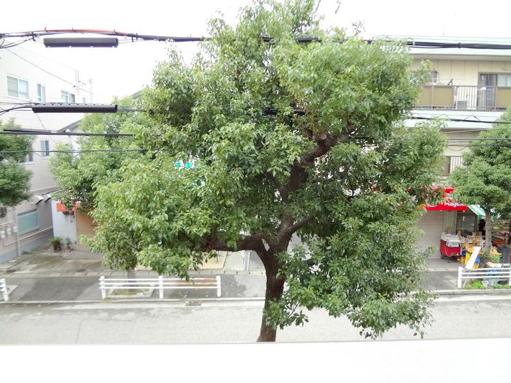 View photos from the dwelling unit. Less tall buildings around, Day is good.