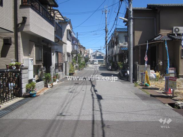 Local photos, including front road. Property of the north front of the road (from the west)