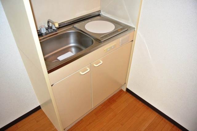Kitchen. IH stove is clean is easy