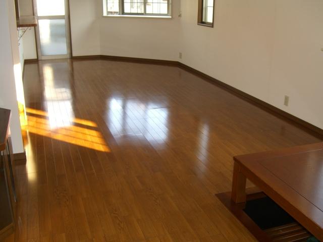 Living. Indoor (12 May 2013) Shooting