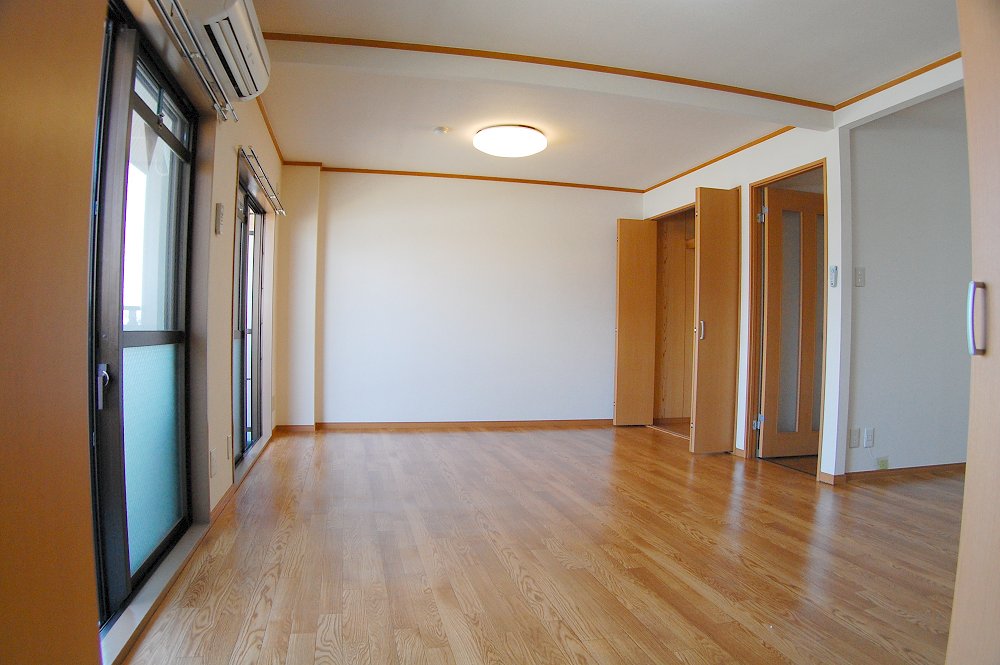 Living and room. Large living!