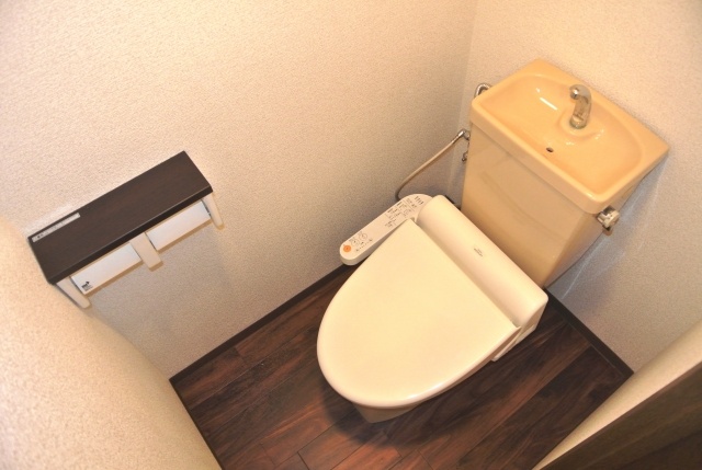 Toilet. Washlet comes with function