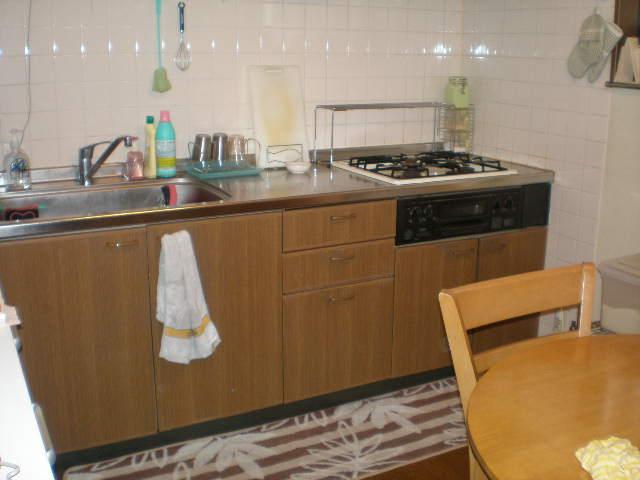 Kitchen. Indoor (10 May 2013) Shooting