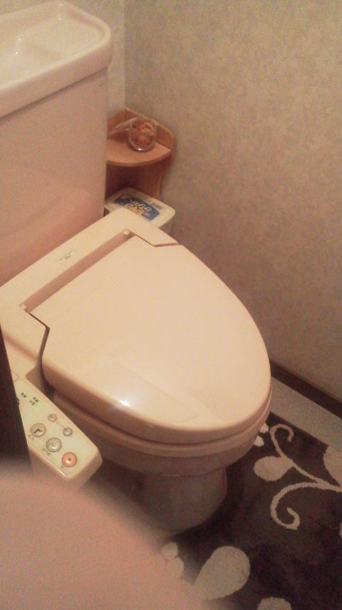 Toilet. Indoor (12 May 2013) Shooting