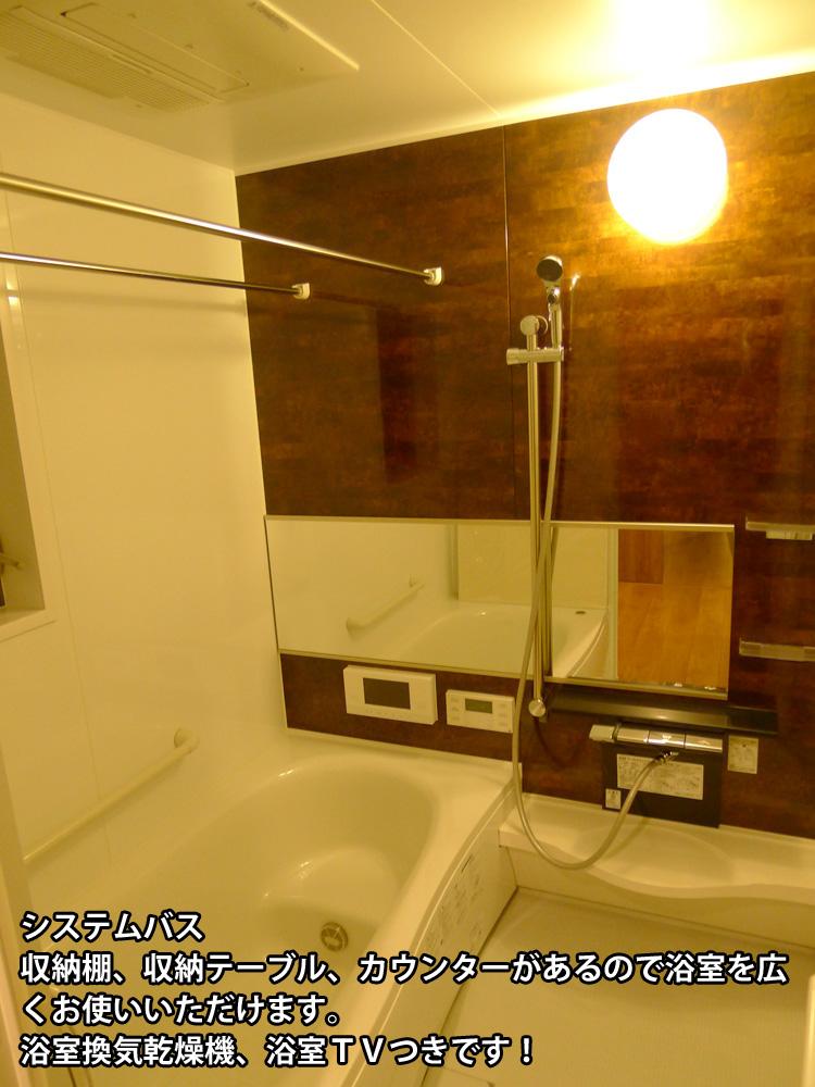 Bathroom. D No. land System bus