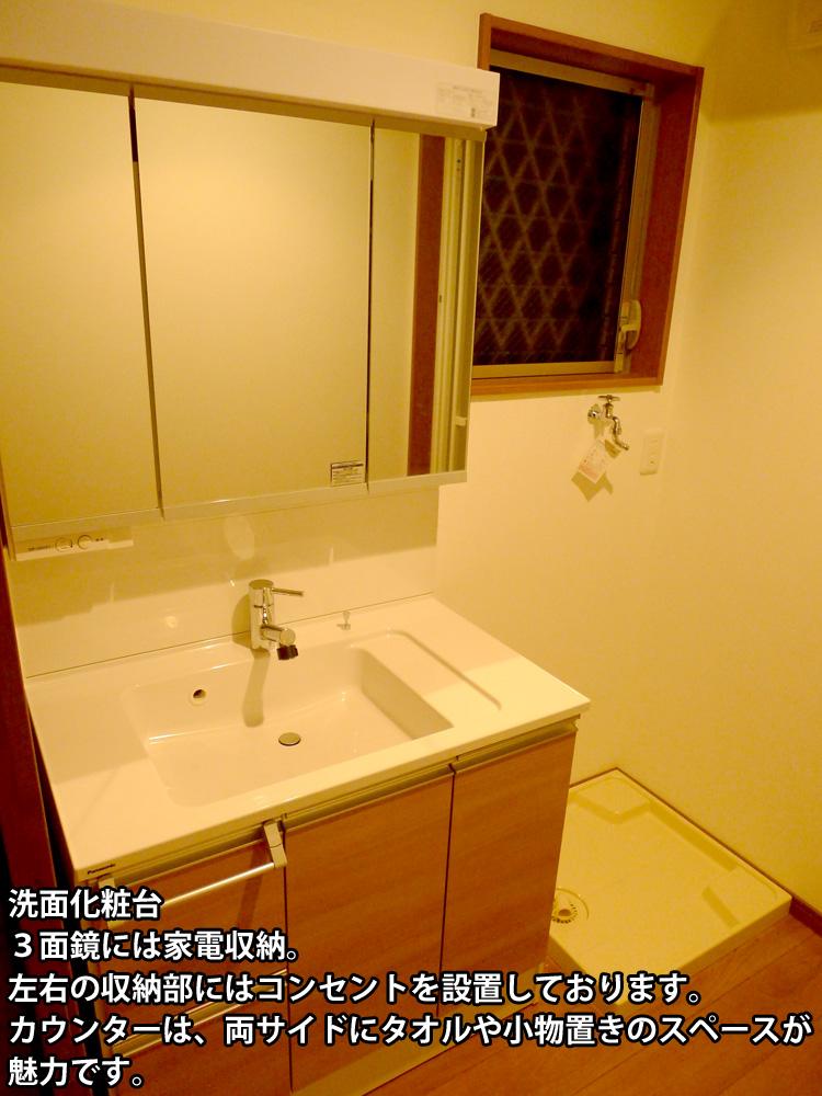 Wash basin, toilet. D No. land vanity