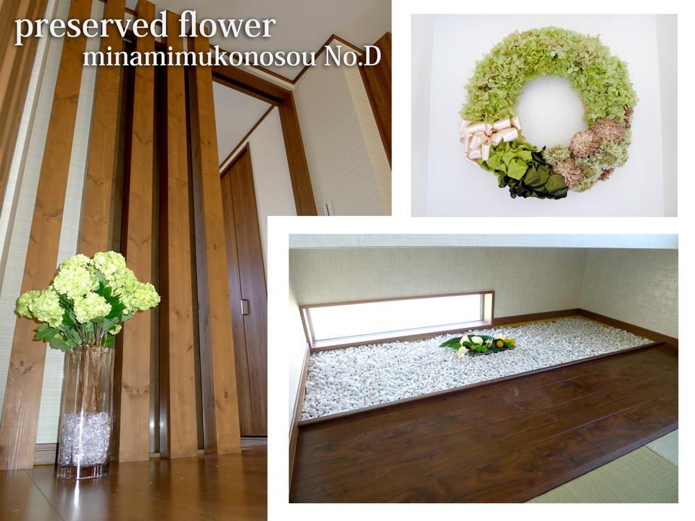 Other. D No. land preserved flower