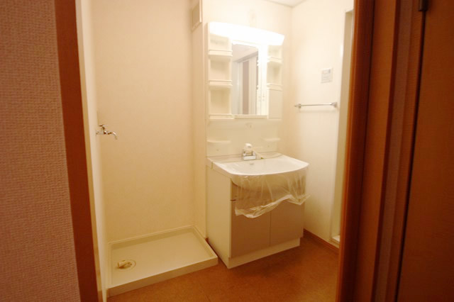 Washroom. Shampoo dresser