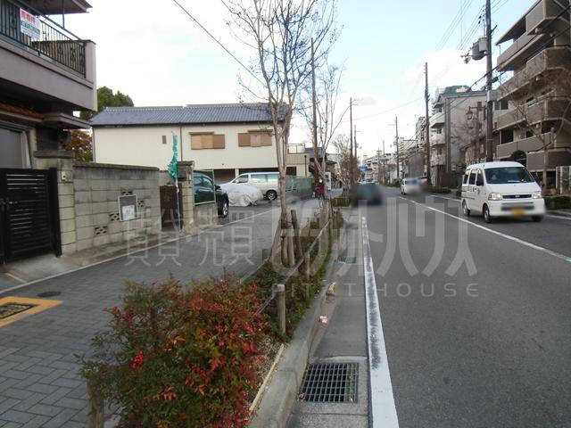 Local photos, including front road