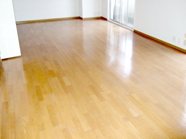 Living and room. Western style room