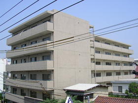 Building appearance