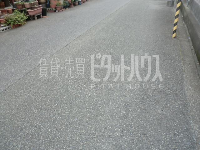 Local photos, including front road