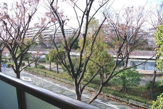 View. Cherry trees right in front of the eye