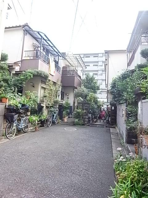 Local photos, including front road