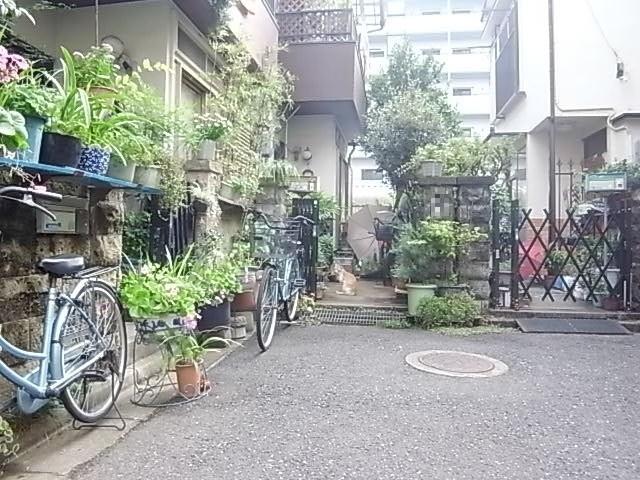 Local photos, including front road