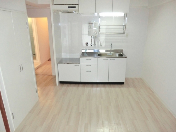 Living and room. Clean living