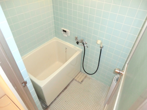 Bath. Clean bathroom
