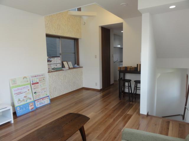 Living. Indoor (September 2013) Shooting