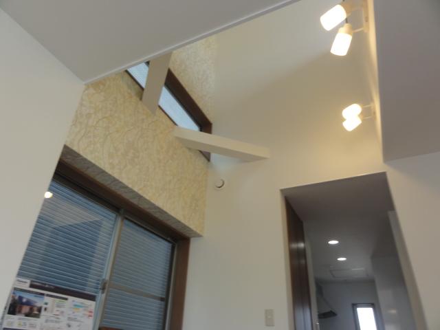 Other. There is a vaulted ceiling in the living room