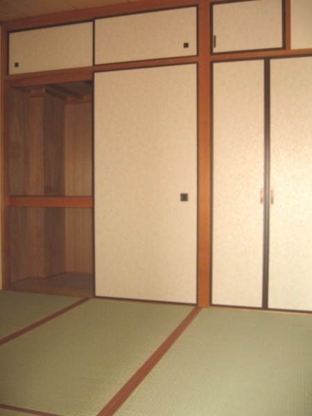 Living and room. Convenient storage space